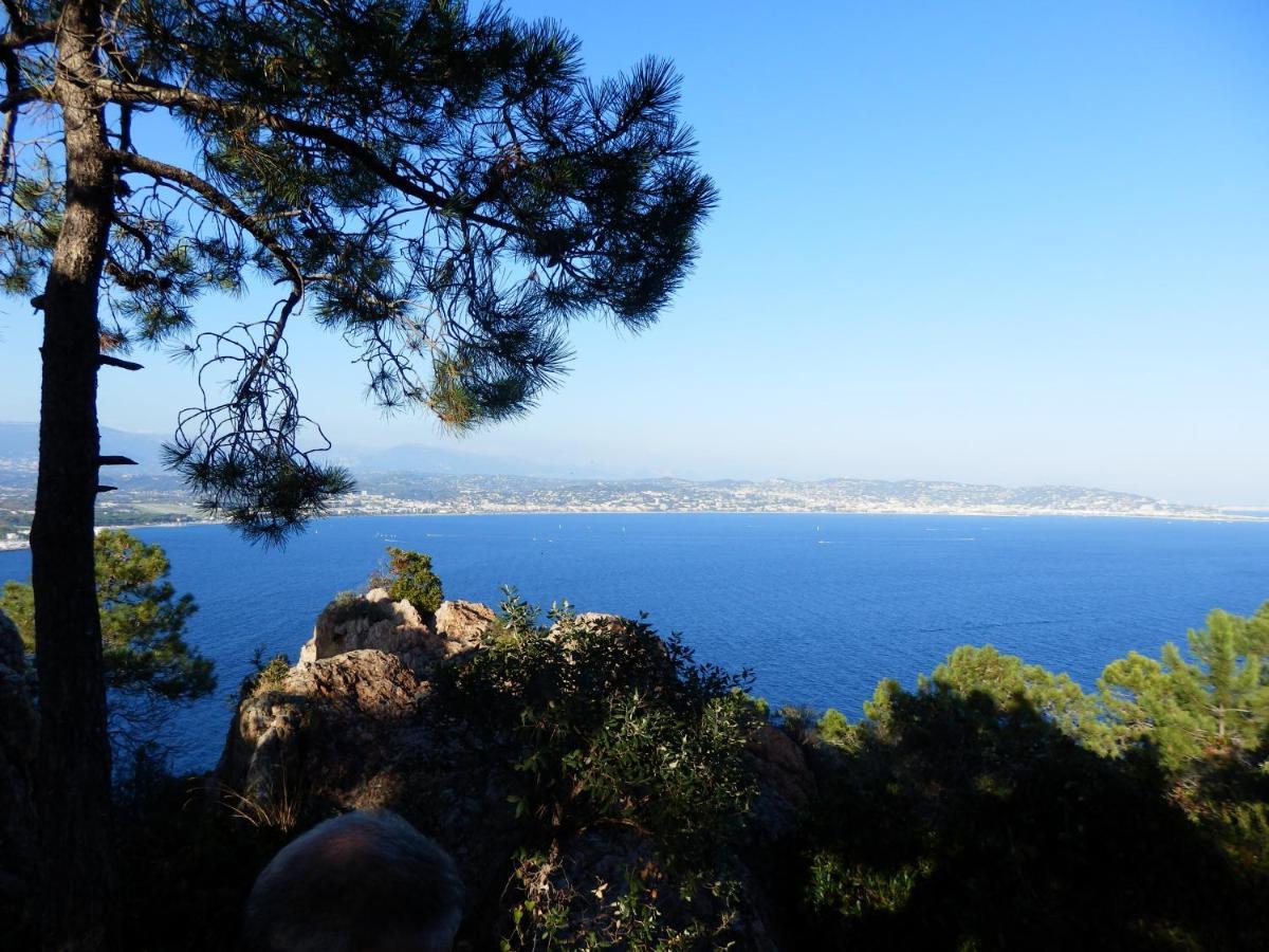 Esterel Terrasses, Roof Top, Plage, Parking Payant Cannes Eksteriør bilde