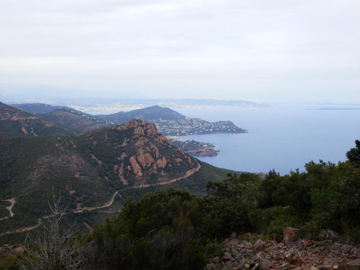 Esterel Terrasses, Roof Top, Plage, Parking Payant Cannes Eksteriør bilde