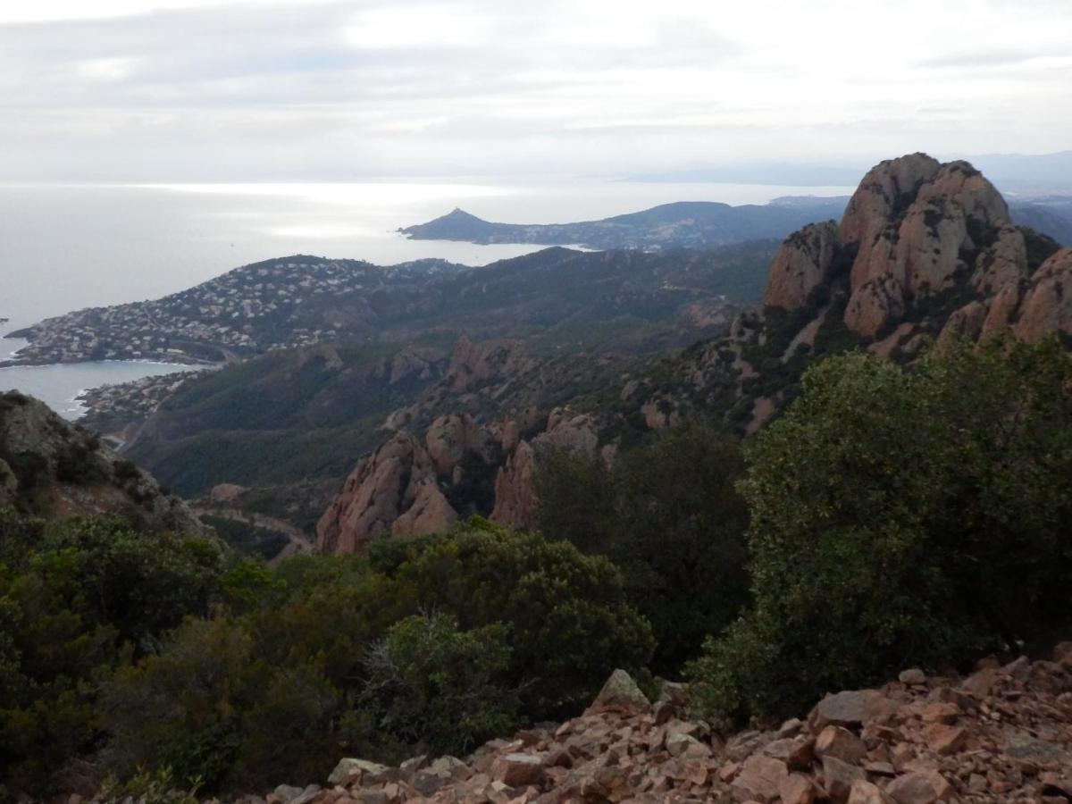 Esterel Terrasses, Roof Top, Plage, Parking Payant Cannes Eksteriør bilde
